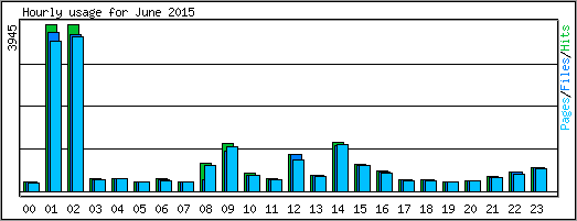 Hourly usage